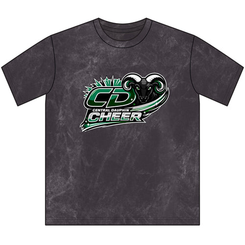 Central Dauphin Cheer Vintage Crewneck Tee